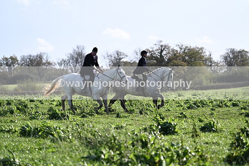 WJ7_3961 - Camera B