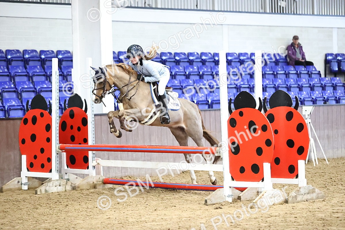 SBM_001495 - Class 9 - Pony British Novice 80cm