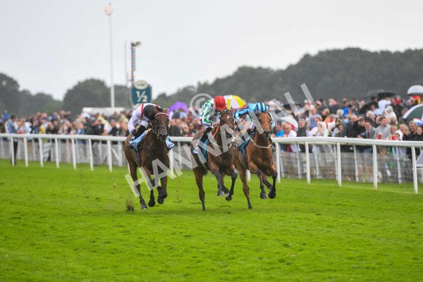 150723-Race 4-Hamish-0415 - Race 4 3.45pm John Smith's Silver Cup Stakes
