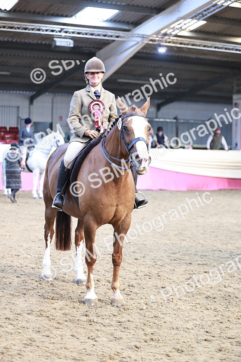 SBM_09127 - Class 12R - Regional Ridden Pre-Vet