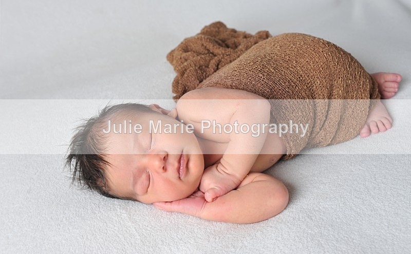 DSC_4901 - Sadie