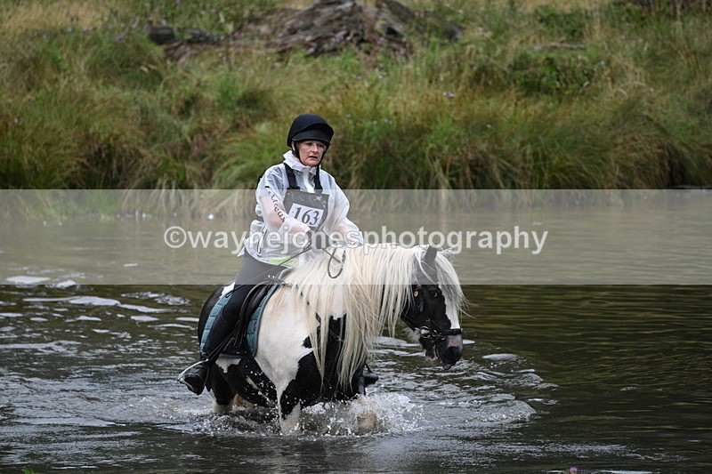 WJ7_6775 - Time at Water 10:01 to 10:27