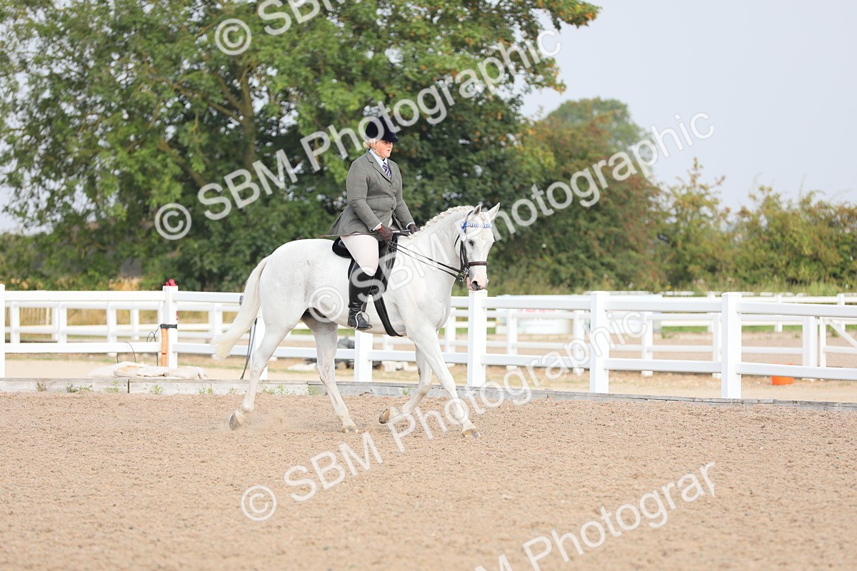 SBM_10862 - Class 304 Ridden Part Bred Horse/Pony