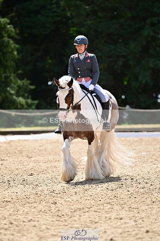 260802A-123202-06251 - Novice Silver break- end
