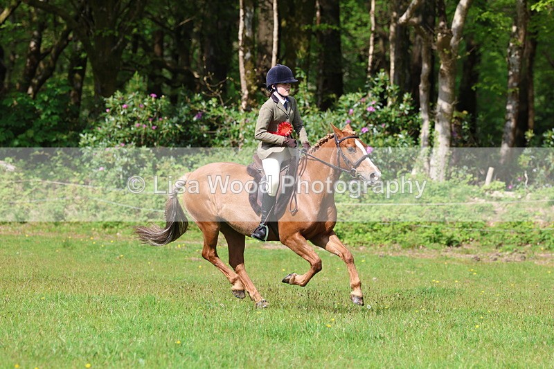 3E7A2681 - Working Hunter Championship