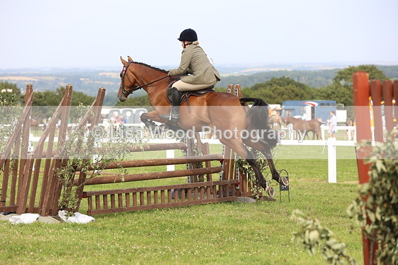 JPP_4206 - Class 25: Working Show Horse