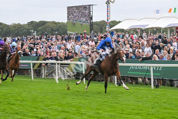 200825-Race 4-Ombudsman-1633 - Race 4 3.35pm Juddmonte International Stakes