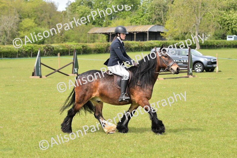 20260426-2370 - Class 21 - Working Hunter Ponies