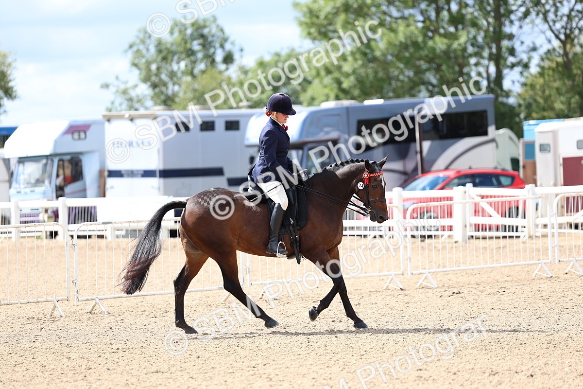 SBM_13298 - Class 311 - Ridden Show Pony Show Hunter Pony