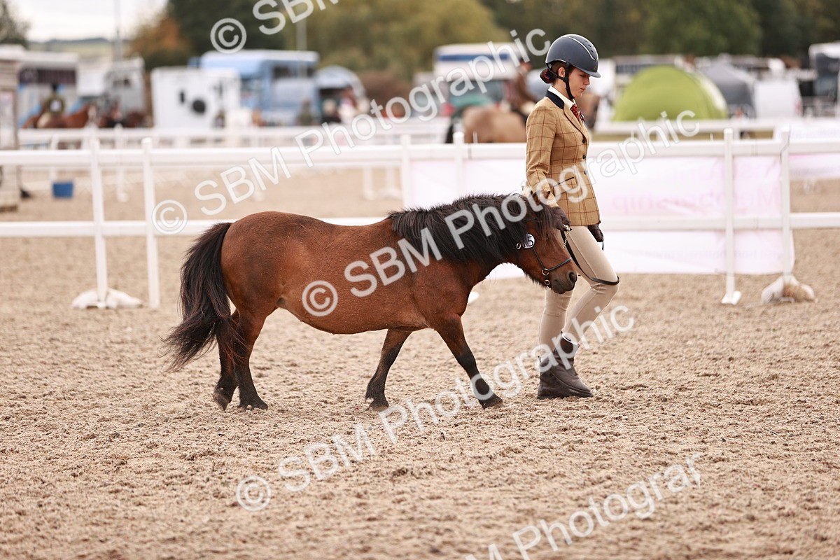 SBM_18425 - Class 419 - Best Maine and Tail - Jnr