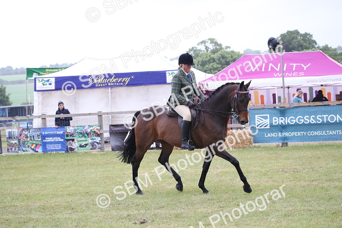 SBM_11445 - Class 94 - LIHS BSHA Racehorse to Showhorse