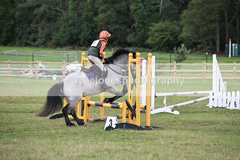 WJ6_1597 - 60cm Time 12:11 to 12:28