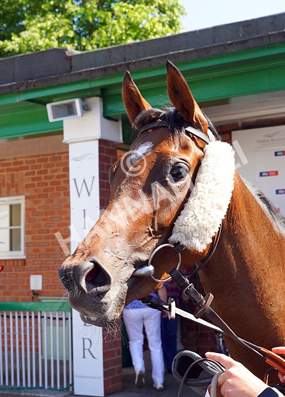240726-Race 3-Lady Dublin-01295 - Race 3 15.05pm Ruby Lodge Care Home In Thirsk Nursery Handicap