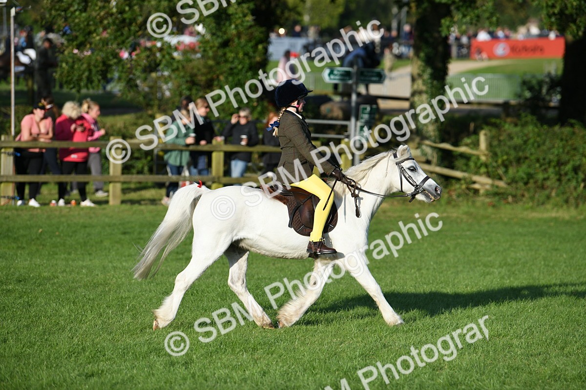 SBM_54088 - S23 - 1st Ridden Mountain & Moorland Pony