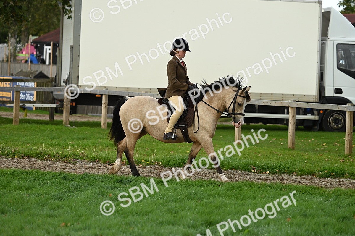 SBM_26570 - S7 - Novice & Newcomer Ridden Pony