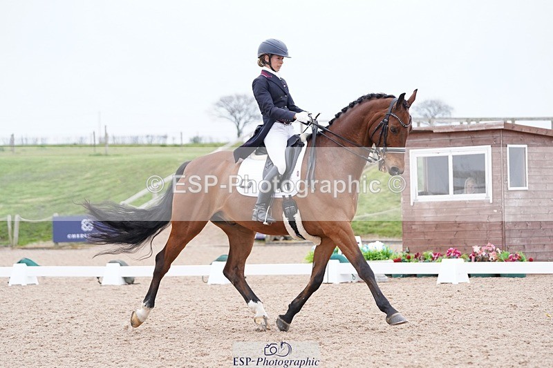 250403-161524-03267 - 028-Elizabeth.Allen-Heraldik