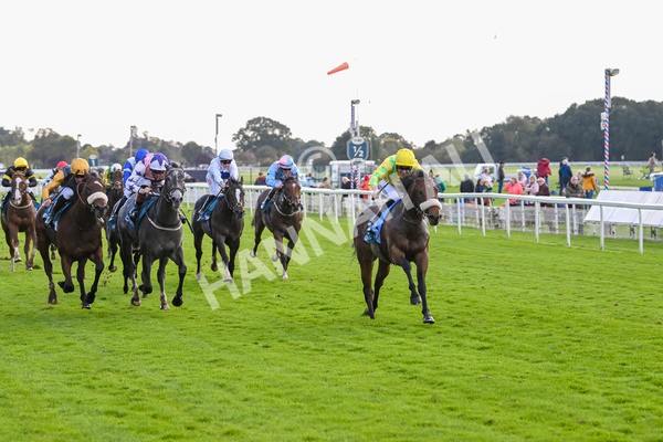 111024-Race 4-End Of Story-1803 - Race 4 3.10pm Parsonage Hotel And Cloisters Spa Nursery Handicap