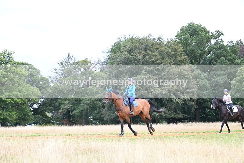 DSC_5994 - Time at Statue 12:17 to 12:44