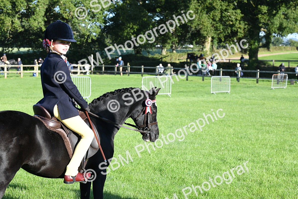 SBM_34068 - S16 - Condition & Turnout - Ridden