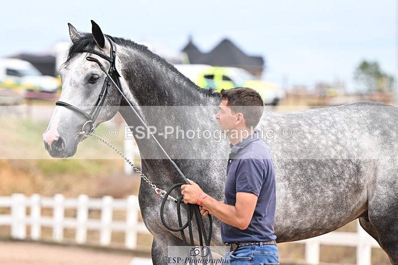 250716-153749-02063 - Trot Up 3.30 to 4.30