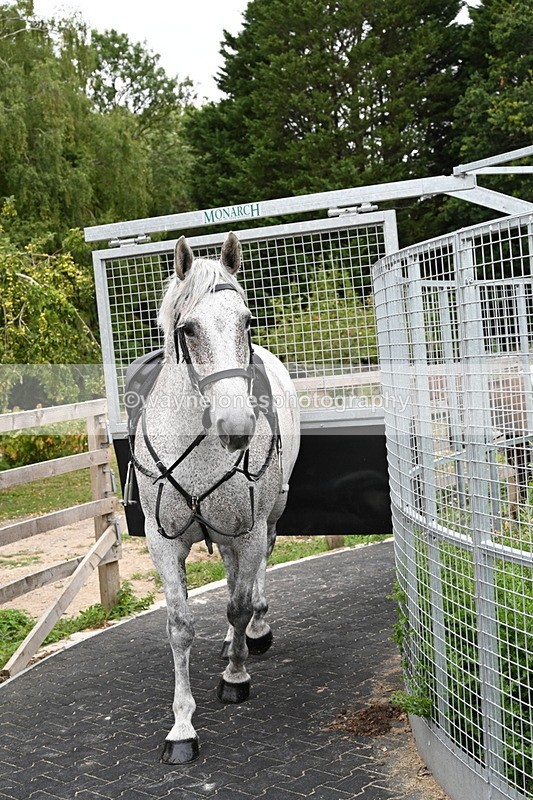 WJ6_2940 - Berks & Bucks - The Old farmhouse - Hound Exercise 20-08-25