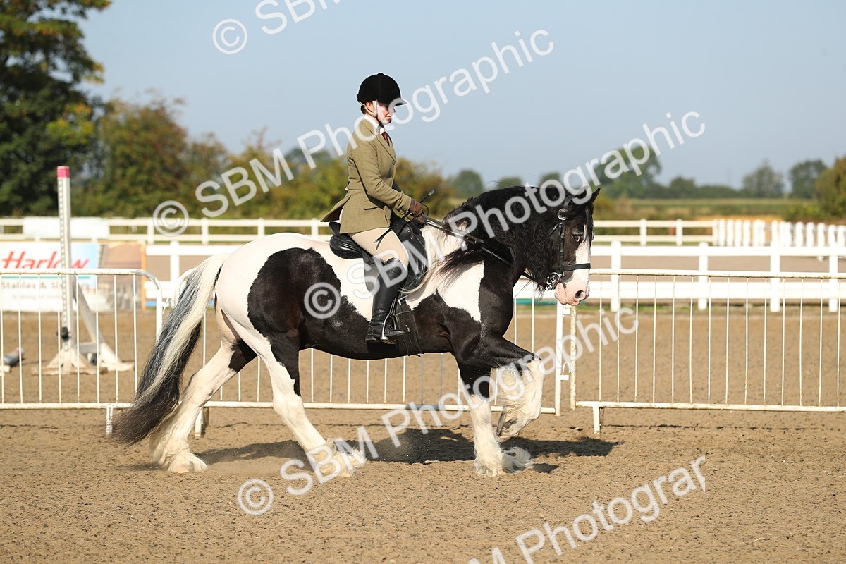 SBM_01129 - Class 42 Ridden Veteran