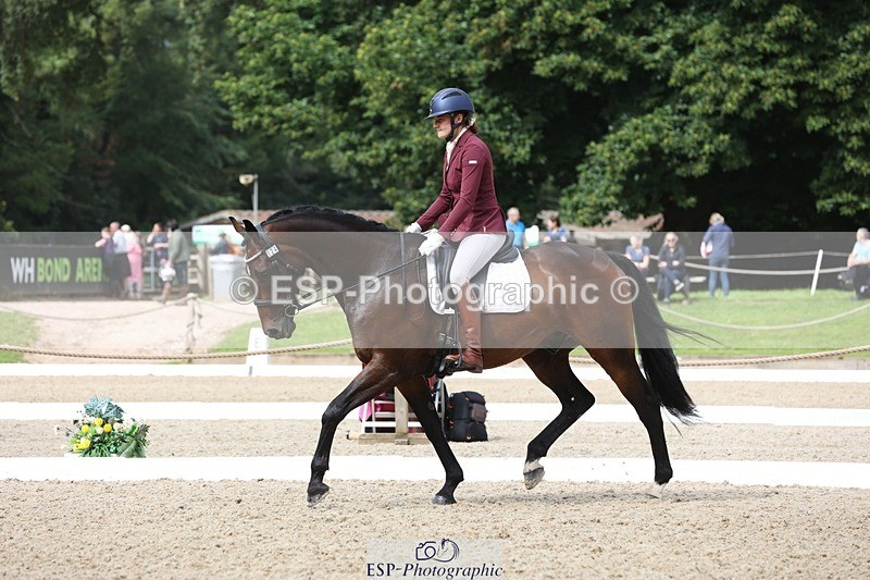 230812-104810-03356 - Cls 5 Novice Bronze Start to 10.55 break