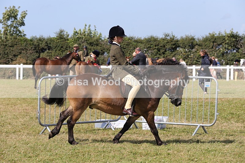 1X9A5583 - Class 39: NPS Dartmoor, Exmoor, Shetland
