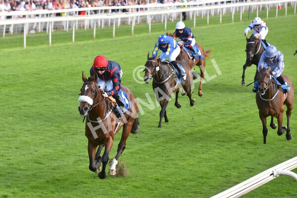 yr23072021r1-30 - Race 1 6.00pm John Wright Electrical Silk Series Lady Riders Handicap