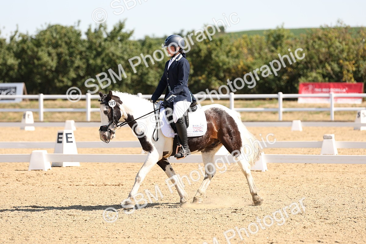 SBM_001038 - Intro 2