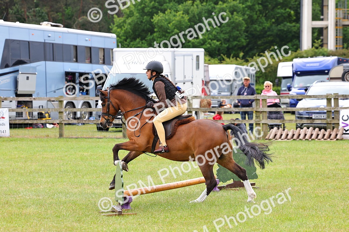 SBM_08612 - Class 42-43 - LIHS BSPS Heritage Working Sports Pony