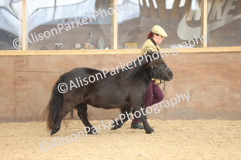 20251109-0100 - Class 5 - Mares 4 Years and over