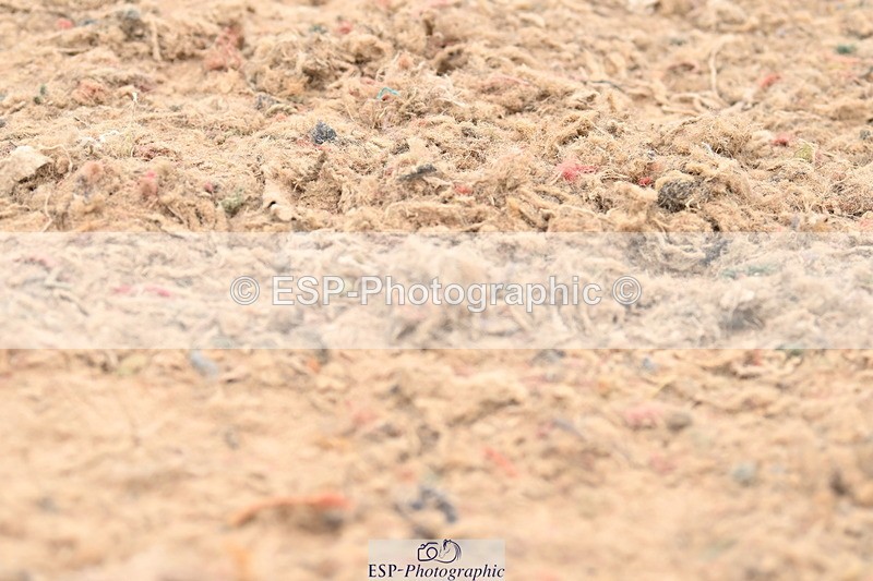 240623A-162759-19947 - Cls 54 BD Medium 73