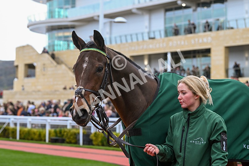 171124-Race 1-Paddock-Maghlaak-2514 - Race 1