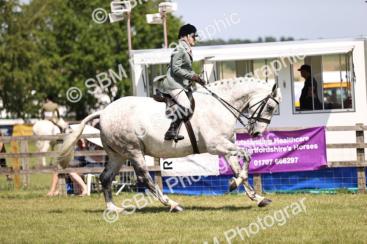 SBM_16160 - Class 79-80 - LIHS BSHA Rising Star Ridden Hunter