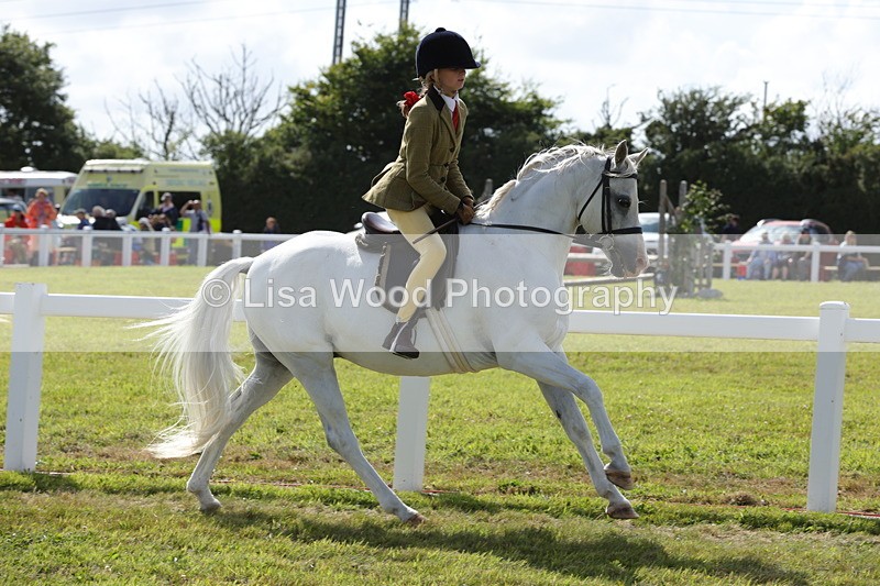 1X9A5769 - Class 40: NPS Welsh A & B