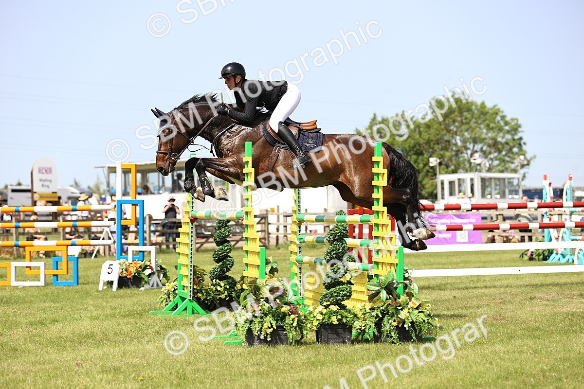 SBM_03212 - Class 201 - British Horse Feedds Speedi Beet HOYS Grade C