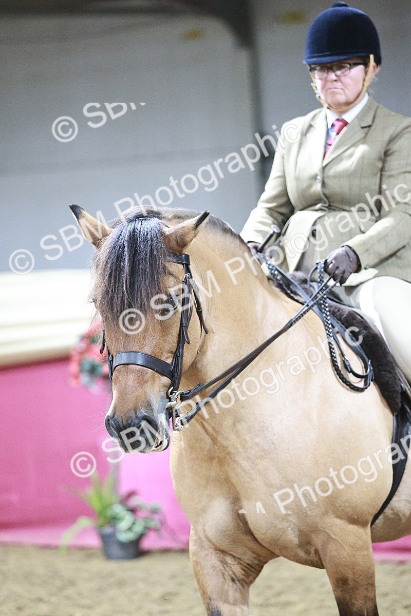 SBM_08074 - Class 11R - Regional Ridden Veteran