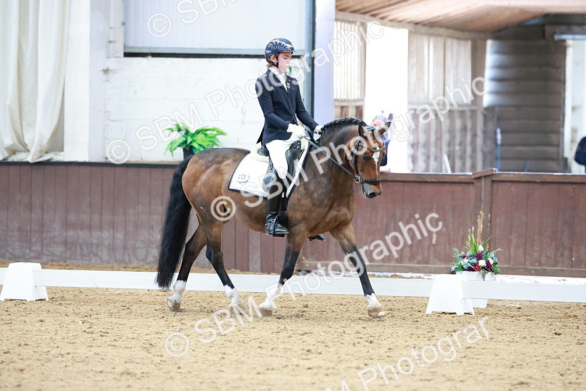 SBM_017145 - Class15 - FEI Pony