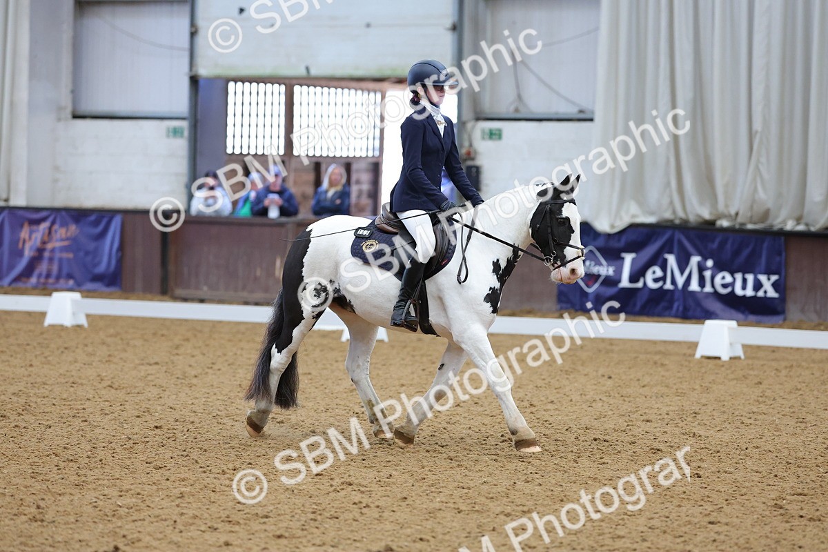 SBM_003062 - Novice