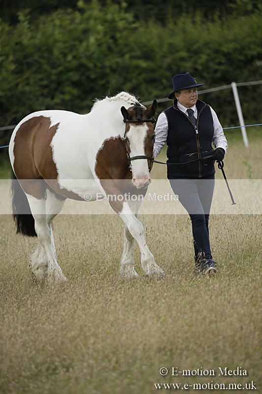 B230619-0256 - Bourne Valley Riding Club Summer Show 23/06/19