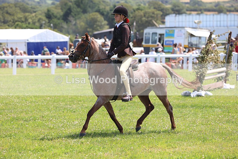 JPP_2955 - Class 22: Working Hunter 70cm