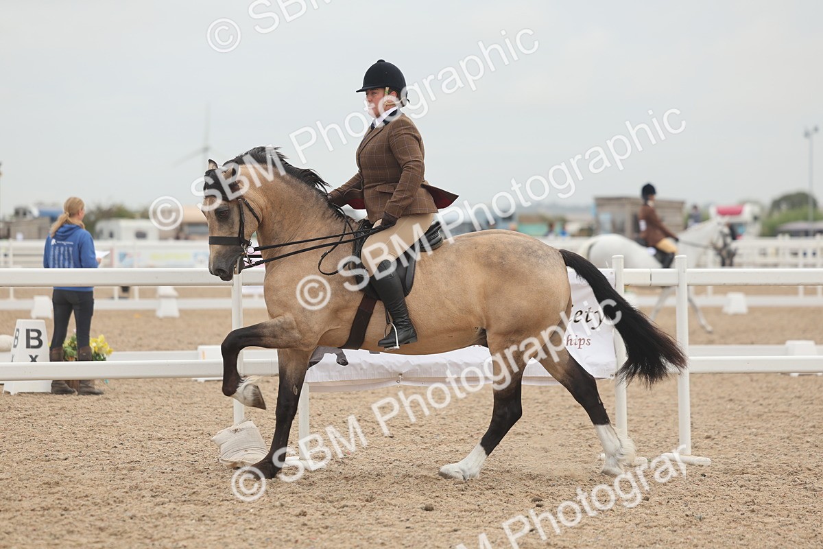 SBM_01925 - Class 14 - Ridden M&M Wildcard