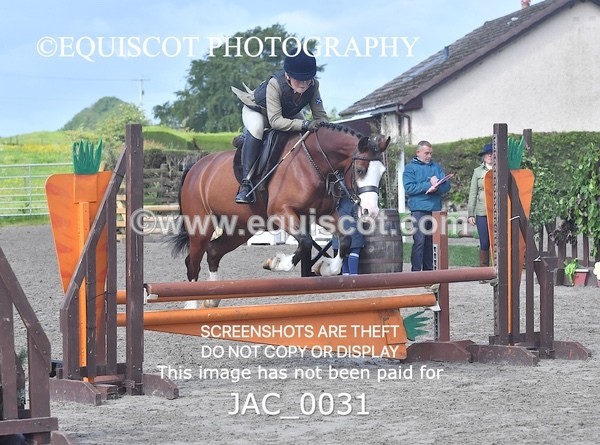 JAC_0031 - CLASS 3 Intermediate Working Hunter (0.70m - 0.85m)