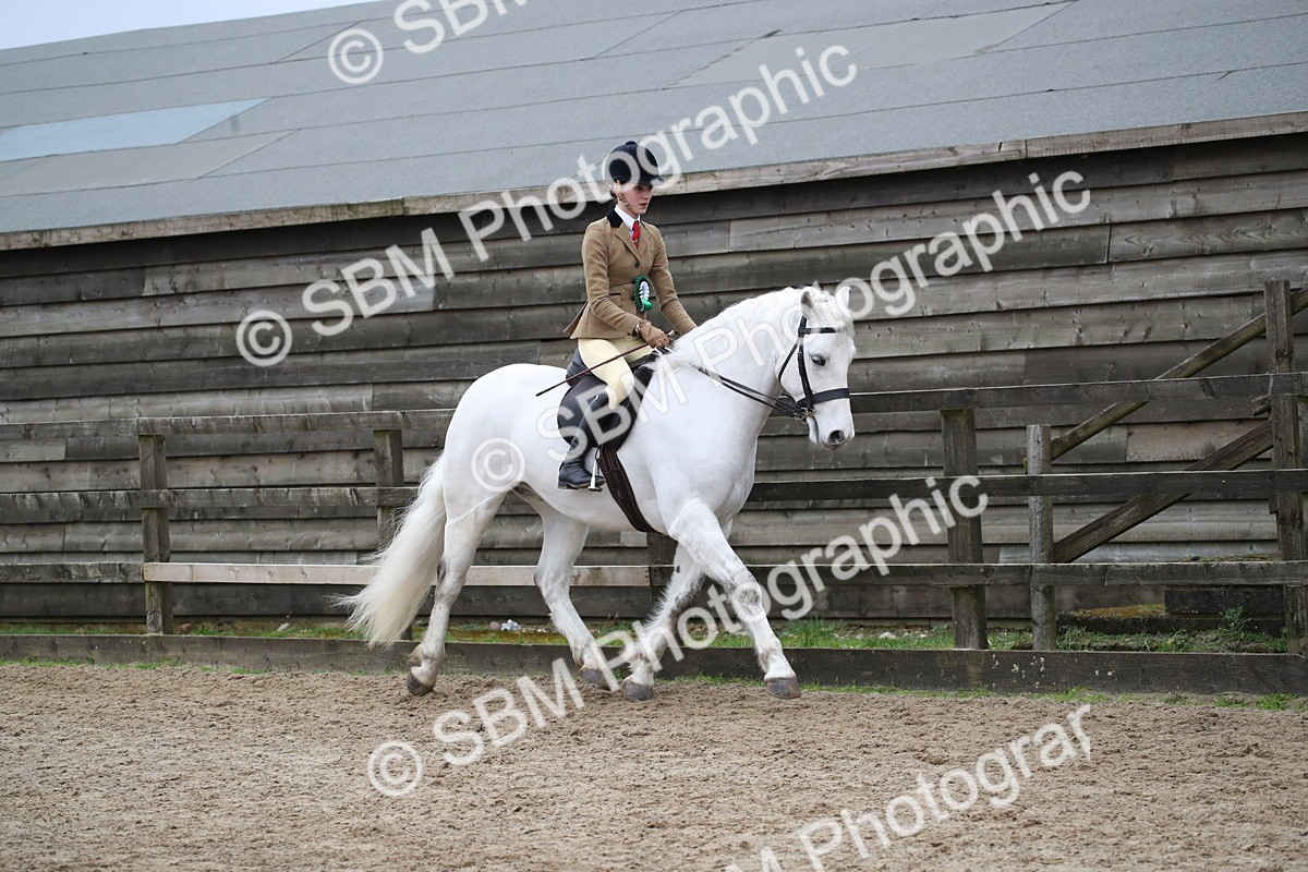 SBM_006262 - Class 10-13 - RIHS Small Large Breeds