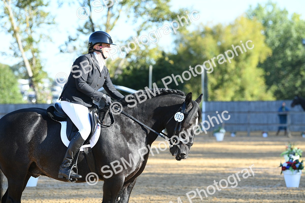SBM_14525 - D4 - Small Tour Championship - Intro B