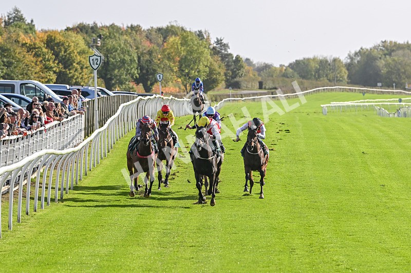 191024-Race 1-Obligatory-3801 - Race 1