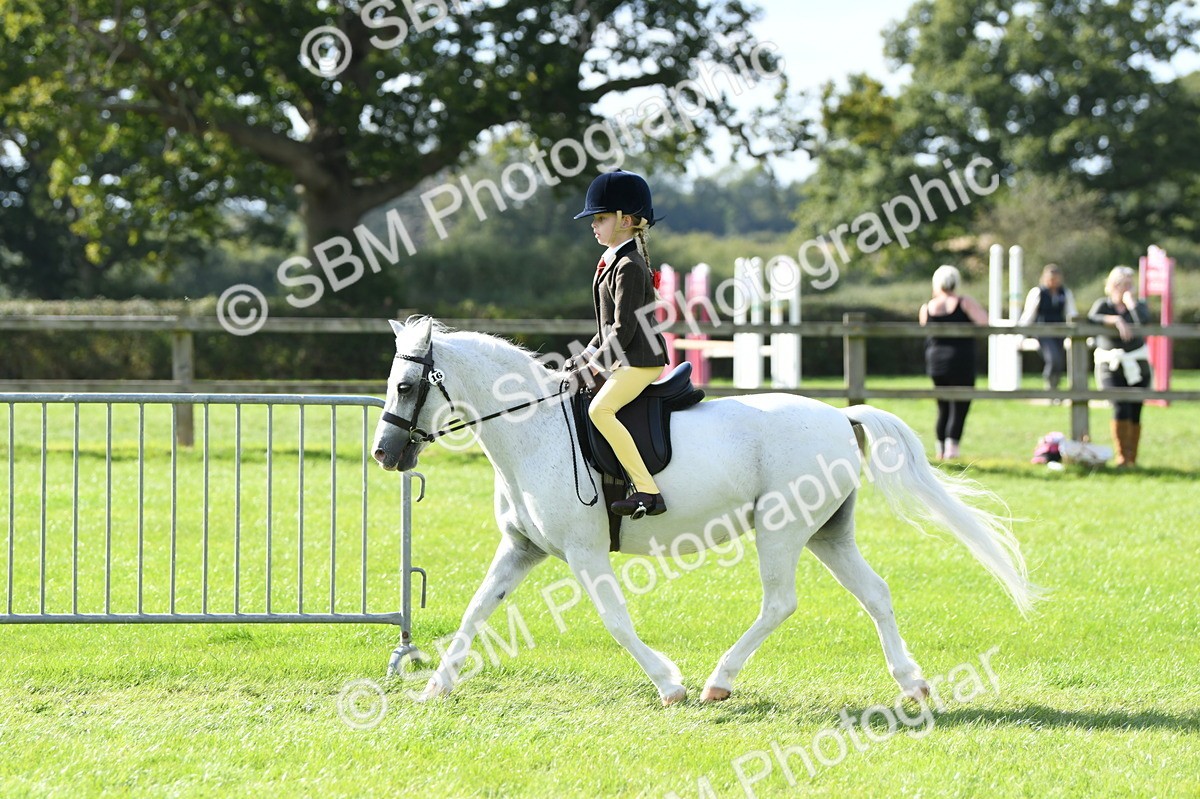 SBM_50297 - S21 - Novice & Newcomers 1st Ridden Pony