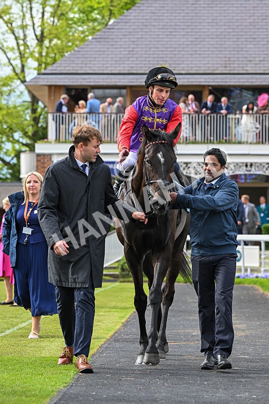 150526-Race 7-Portcullis-8854 - Race 7 5.15pm Darley EBF 'Confined' Novice Stakes
