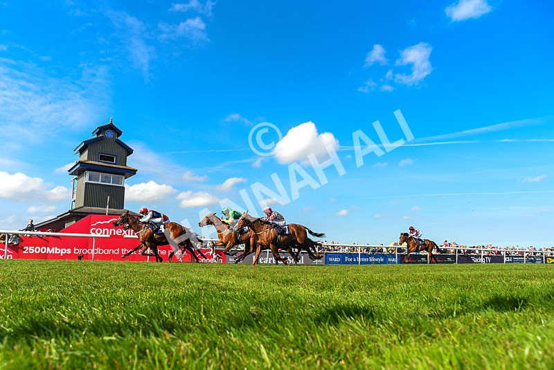 040526-Race 5-Copper Knight-2019 - Race 5